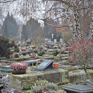 st-johannis-friedhof-im-nebel